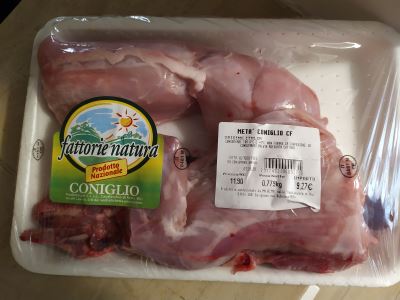 Coniglio