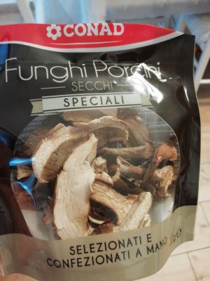 Funghi porcini 