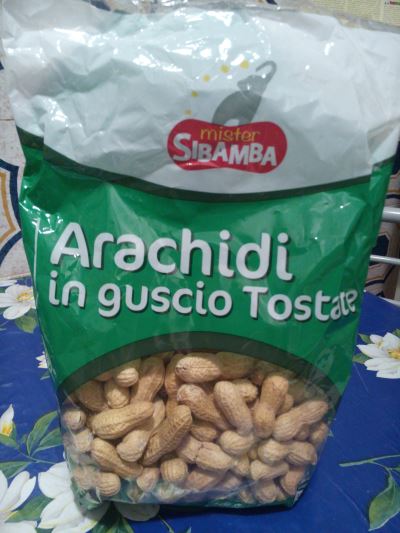 Arachidi in guscio