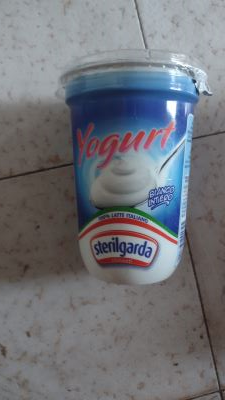Yogurt bianco intero