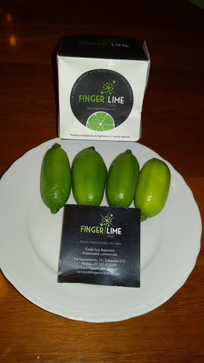 Finger Lime