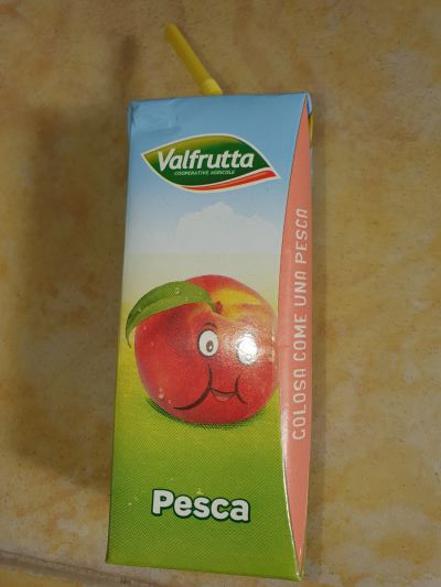 succo brick pesca