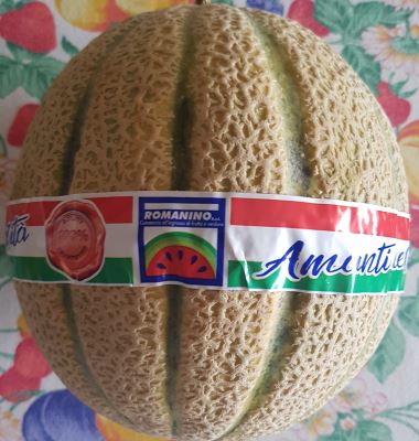 Melone retato