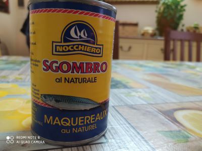 Sgombro Nocchiero al Naturale