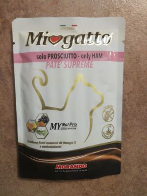 Mio gatto