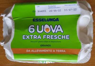 6 uova extra fresche 