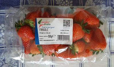 Fragole