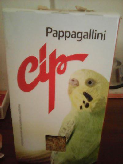 cip  pappagallini