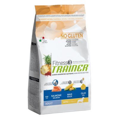 Trainer Fitness 3 Adult Mini