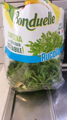 Rucola