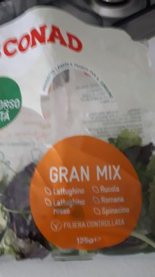 INSALATA GRAN MIX