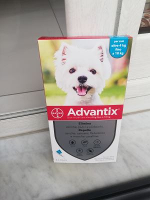 Antipulci advantix da a 10 kg