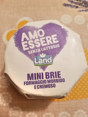 mini brie