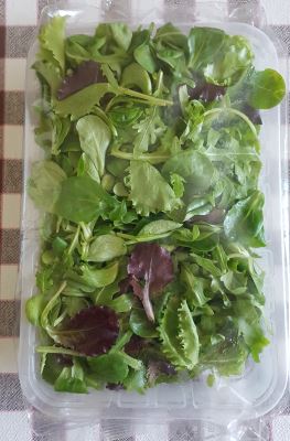 Insalata Misticanza Terra Orti