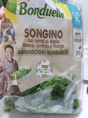 Insalata songino 