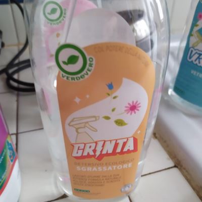 Grinta sgrassatore 