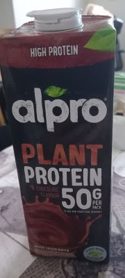 Plant protein
