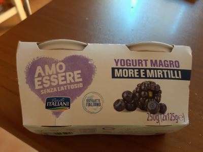 Yogurt magro more e mirtilli 