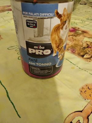 Patè al tonno per gatti