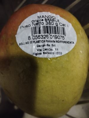Mango