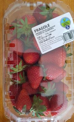 Fragole Varietà Sabrina 