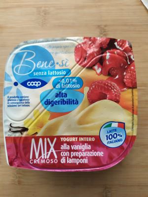 Yogurt intero alla vaniglia con preparazione di lamponi