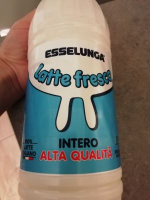 Latte fresco intero 