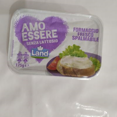 Formaggio spalmabile senza lattosio  
