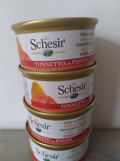 Tonnetto con papaya