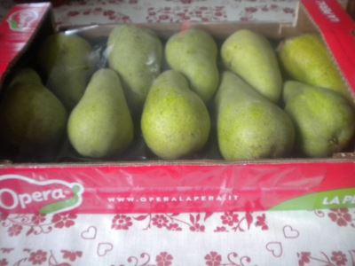Pere Opera