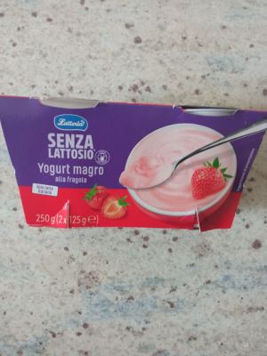 Yogurt senza lattosio