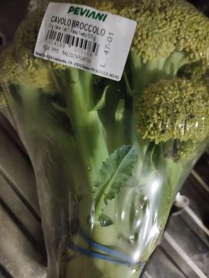 Cavolo broccolo 