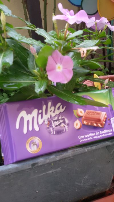 cioccolato
