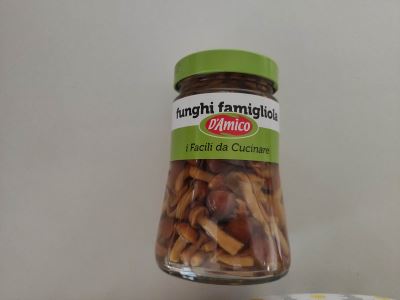 Funghi famigliola 