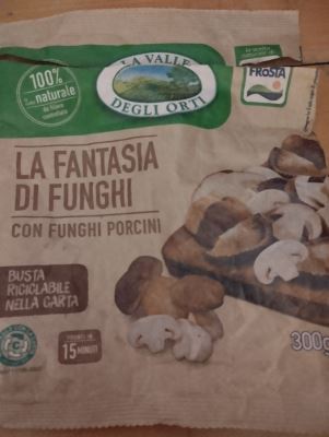 La fantasia di funghi con funghi porcini