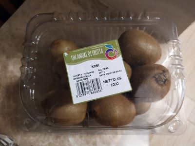 Kiwi - Hayward