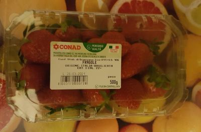 Fragole cat. I Percorso Qualità Conad 