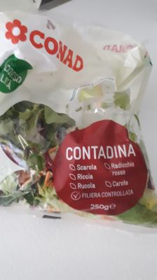 INSALATA CONTADINA 