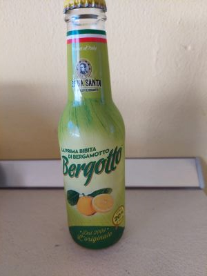 Bergotto