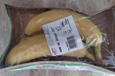 Banane Var. Cavendish