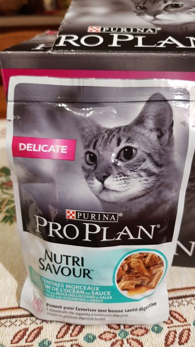 Pro plan Alimento completo per gatti adulti 