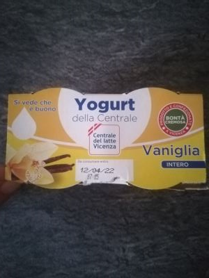 Yogurt vaniglia