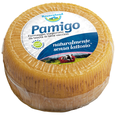 Formaggio stagionato Pamigo