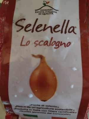 Lo scalogno