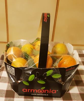 Clementine con foglia Varietà Caffin