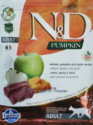 Pumpkin - gatto adulto