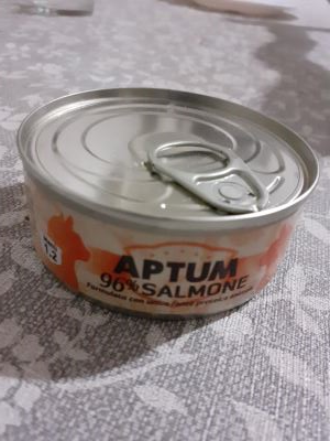 Aptum 96% salmone