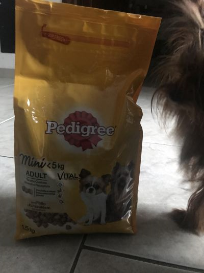 Pedigree mini