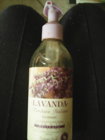 Lavanda lavamani