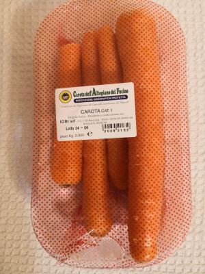 CAROTA CAT.I